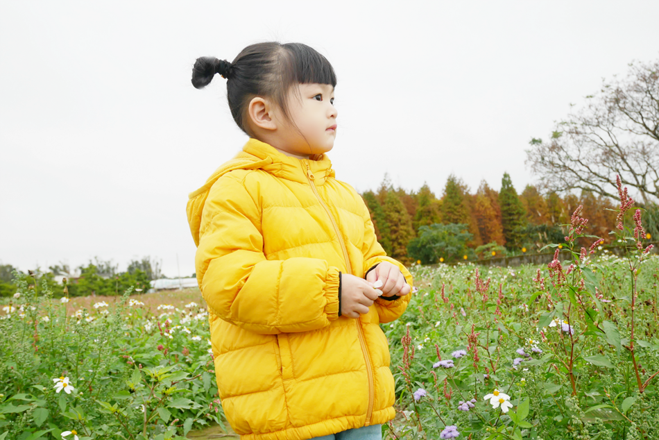 P1200663_meitu_6.png P1200663_meitu_6.png