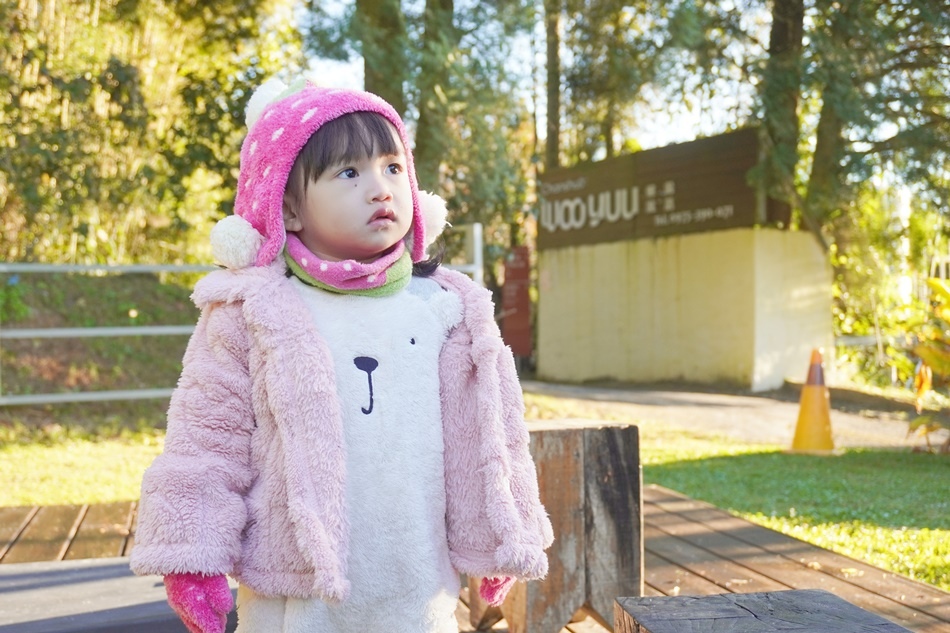 【蟬說：霧語】全新豪華露營區住宿,新竹五峰鄉白蘭部落,夢幻豪