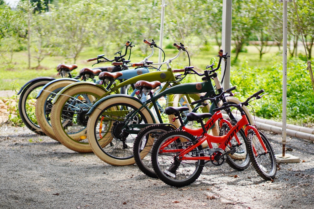 DSC03005.JPG DSC03005.JPG