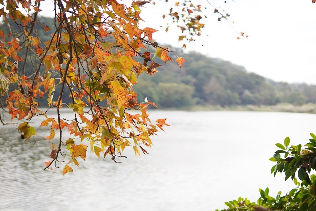 DSC06868.JPG DSC06868.JPG