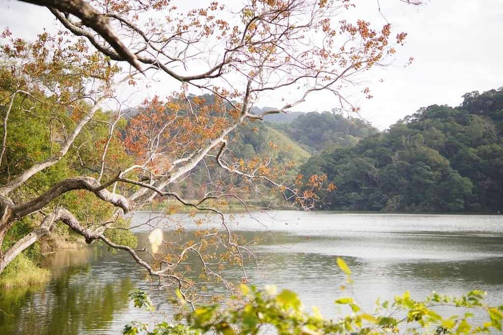 DSC06865.JPG DSC06865.JPG