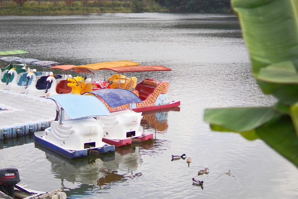 DSC06972.JPG DSC06972.JPG