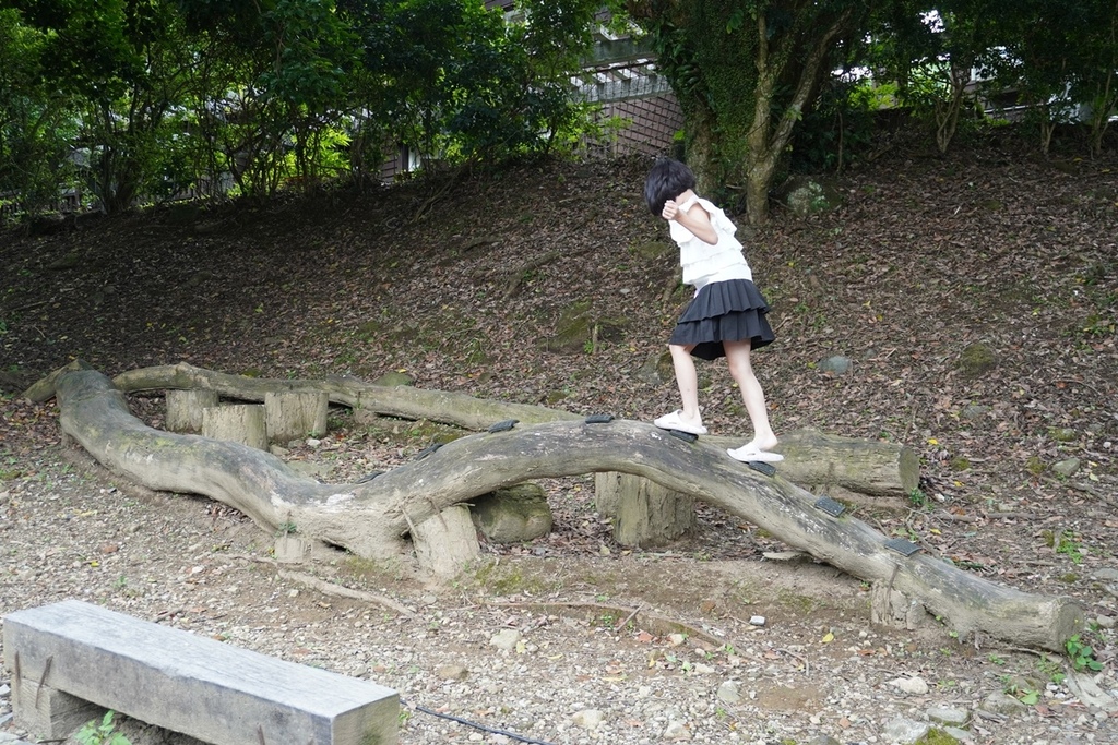 DSC09766.JPG DSC09766.JPG