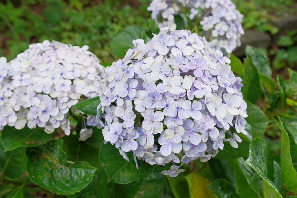 DSC09928.JPG DSC09928.JPG