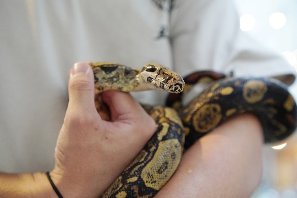 DSC07268.JPG DSC07268.JPG