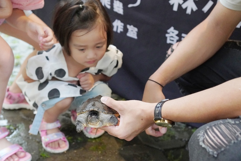 DSC07271.JPG DSC07271.JPG