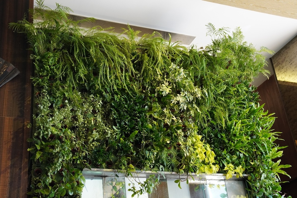 DSC07570.JPG DSC07570.JPG