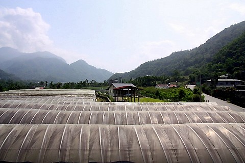 20100424草湳溼地003.jpg