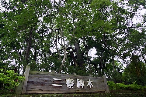 20100530北埔016.jpg