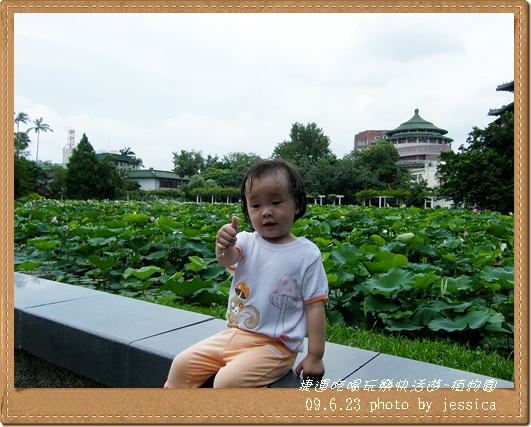 植物園 (78)