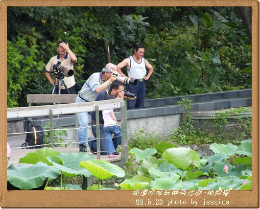 植物園 (82)