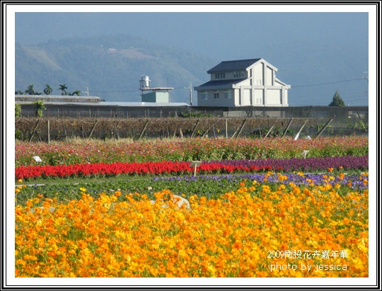 2009南投花卉嘉年華 (167)