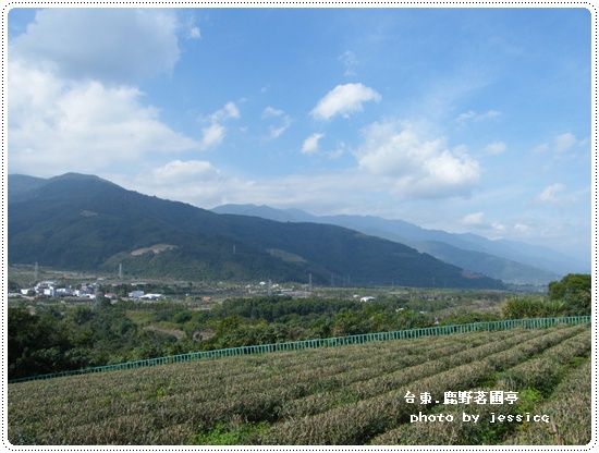 鹿野愛嬌姨風味茶餐 (27)