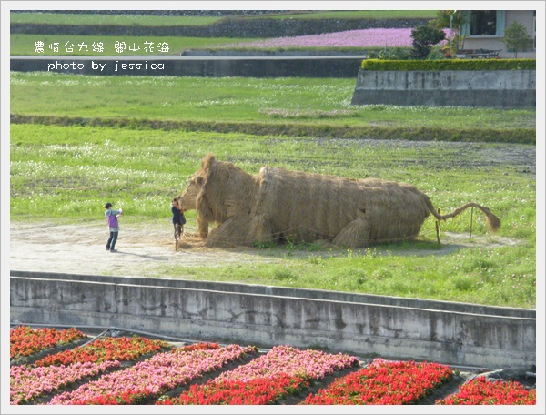 台東 關山花海928 (70)