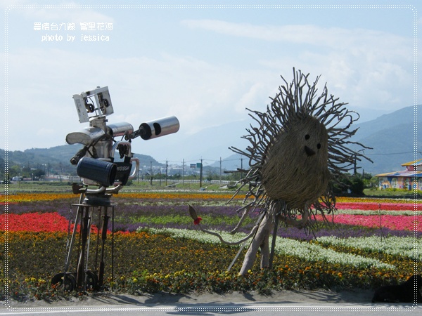 花蓮富里花海(1)