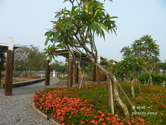 溪州公園 (49)