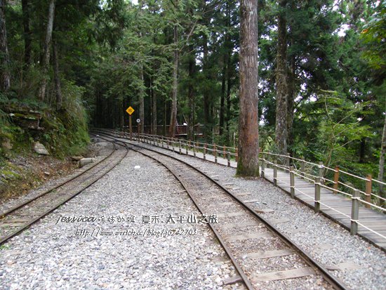 太平山蹦蹦車茂興懷舊步道 (72)