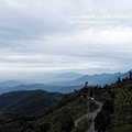 大崙山茶園&銀杏森林 (58)