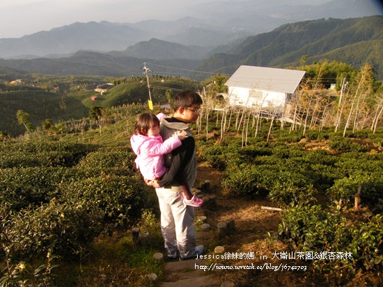 大崙山茶園&銀杏森林 (153)