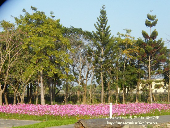 溪州公園隨拍 (91)