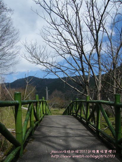 武陵賞櫻花入口花園廣場 (16)