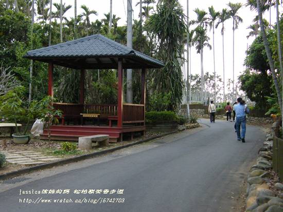 茶香步道 (5)