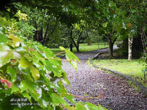 福山植物園046 (77)