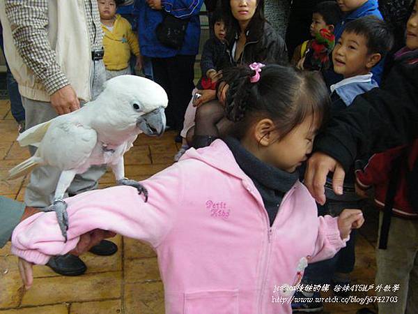 合興附幼鳳凰谷鳥園 (21)