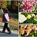 田尾菁芳園 (060)