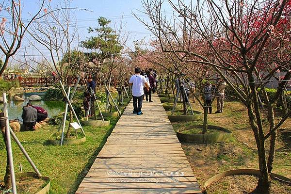 芬園花卉休憩園區 (51)