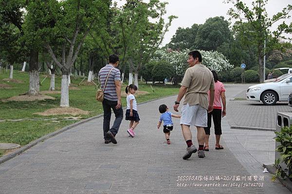 獨墅湖教堂金雞湖 (12)