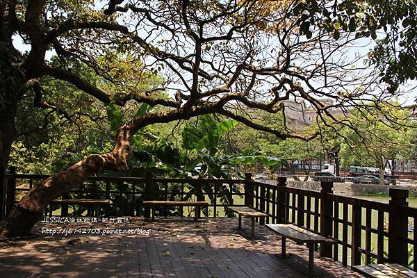 編~新竹麗池湖畔空軍十一村 (35)