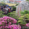 台南玄空法寺永興吊橋 (102)