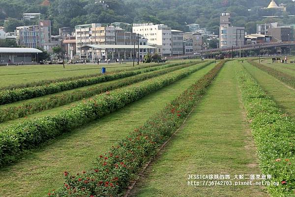 西子灣駁二藝術特區 (103).JPG