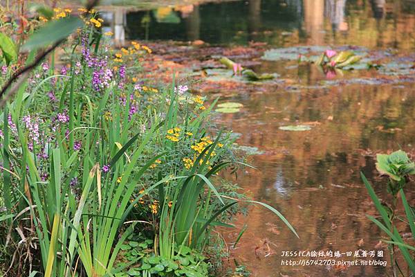 田尾菁芳園 (35).JPG