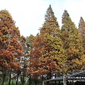 田尾菁芳園 (125).JPG