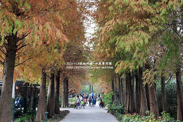 田尾菁芳園 (135).JPG