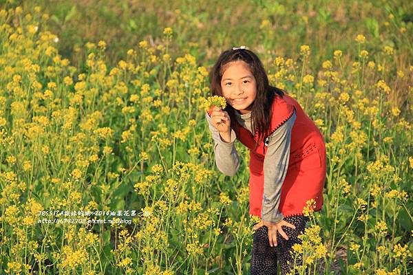 油菜花隨拍手瑀賢杏鈞) (24).JPG