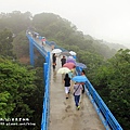 銅鑼腳踏車步道賞桐 (30).JPG