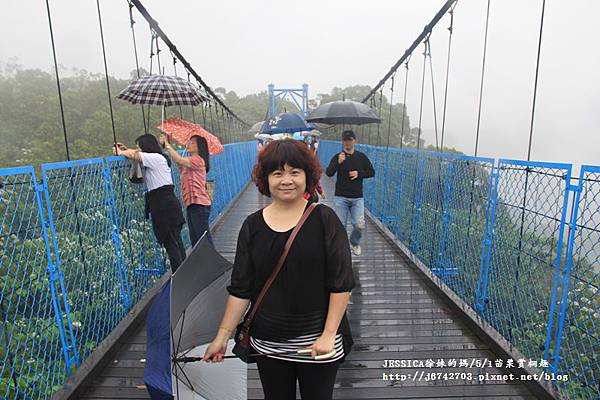 銅鑼腳踏車步道賞桐 (85).JPG