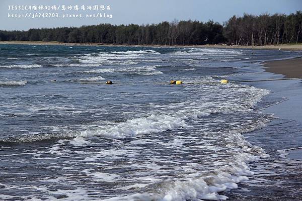 台南將軍馬沙溝一箭雙雕沙雕展 (123).JPG