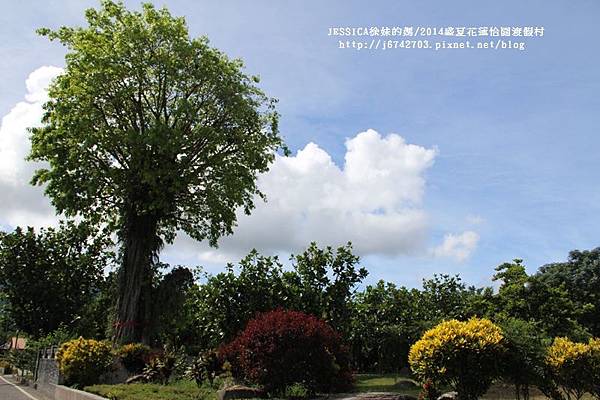 壽豐鄉怡園渡假村 (146).JPG