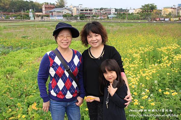 園黃花風鈴小半天一日遊 (21).JPG