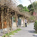 日月潭玄光寺 (32).JPG