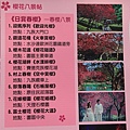 九族文化村賞櫻搭纜車 (90).JPG