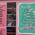 九族文化村賞櫻搭纜車 (92).JPG