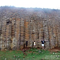 北環大果葉柱狀玄武岩 (5).JPG