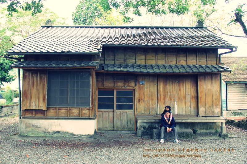 <遊記>2014台東輕旅行~鹿野龍田移民村/龍田國小百年黑松