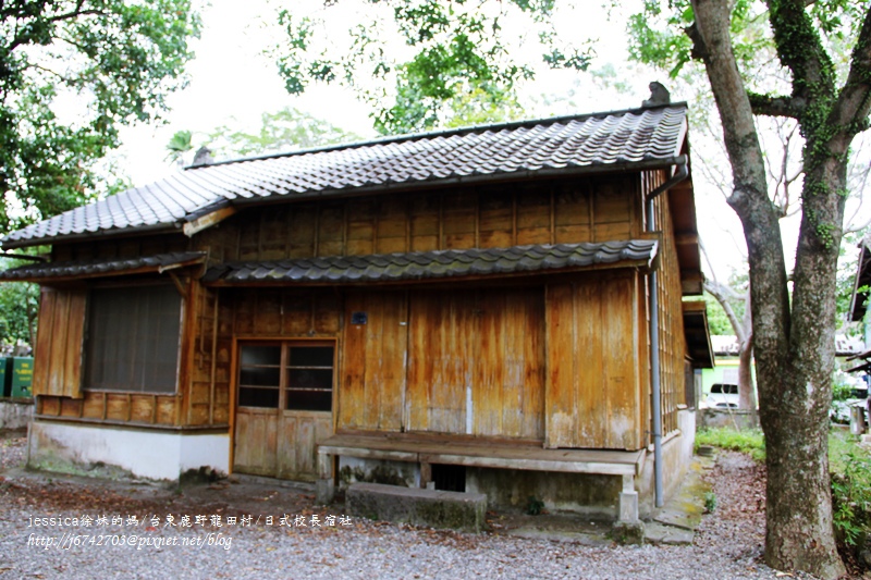 <遊記>2014台東輕旅行~鹿野龍田移民村/龍田國小百年黑松