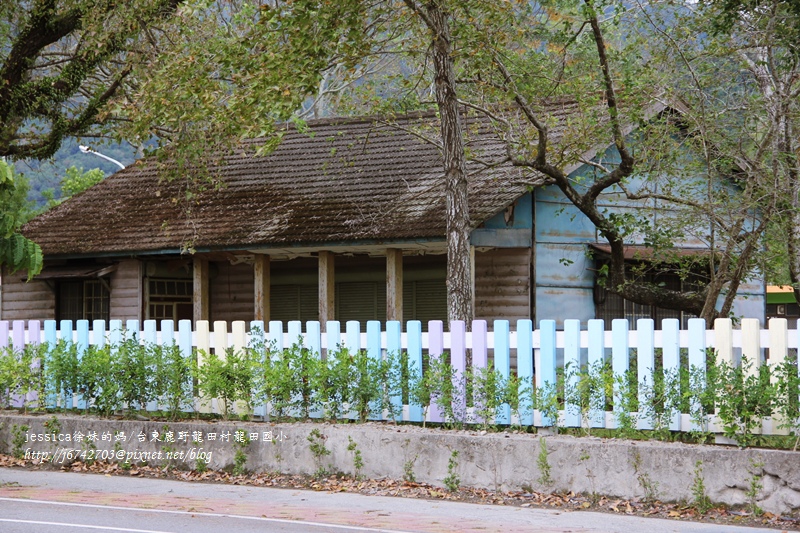 <遊記>2014台東輕旅行~鹿野龍田移民村/龍田國小百年黑松